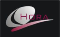 The C H O R A logo